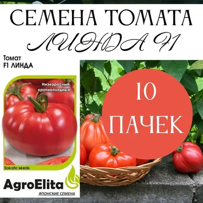Семена Томат Линда F1 (10 шт) в Минске недорого с гарантией