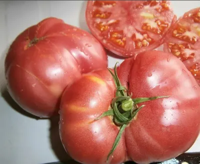 Cемена томатов Сибирский Сад