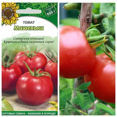 Машенька - Альбомы - tomat-pomidor.com