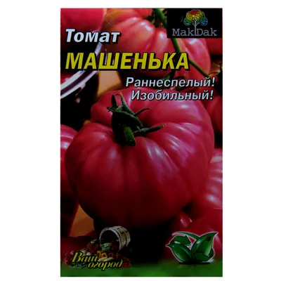 Томат Машенька: описание и характеристика сорта, уход и выращивание,  отзывы, фото и видео