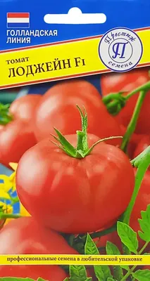 Советы Маши Помидоркиной: зачем надо снимать томаты зелеными