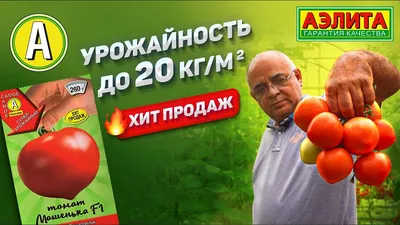 Купить Томат Машенька 20шт недорого по цене 20руб.|Garden-zoo.ru