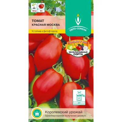 В Люберцах нашли помидоры по 999 рублей за кило - Москвич Mag