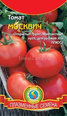 Томат Москвич: описание сорта, ОТЗЫВЫ (17), фото, урожайность | tomatland.ru