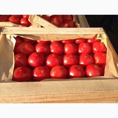 Москва- Россия 28-ое июля 2020 : Кетчуп помидоры со вкусом Кайенны перец  чили находится в изолированном на белом прочность- причём Редакционное Фото  - изображение насчитывающей естественно, деталь: 193145246