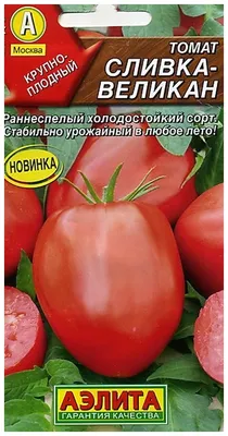 Крепкий орешек: как ученым удалось сделать помидоры прочнее – Москва 24,  21.09.2023