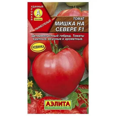 Купить помидоры бакинские Москва оптом и в розницу по низкой цене