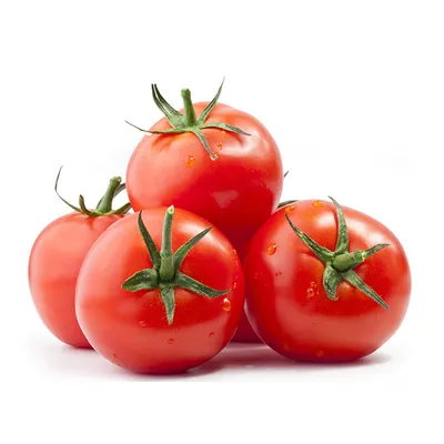 Более 17 тысяч тонн свежих томатов из Туркменистана ввезено в Московский  регион с начала 2023 года | Экономика