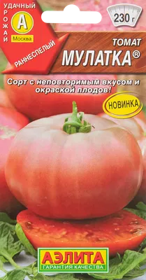 Томат Роксет Купить профессиональные семена Гавриш онлайн доставка по РФ |  Гавриш шоп