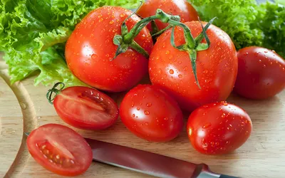 Сеньор помидор. Как вырастить томаты зимой на подоконнике? | СЕЛЬСКОЕ  ХОЗЯЙСТВО | АиФ Ставрополь