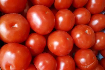 Какие сорта помидоров черри подходят для выращивания на подоконнике