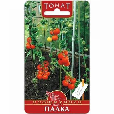 Палка - П — сорта томатов - tomat-pomidor.com - отзывы на форуме | каталог
