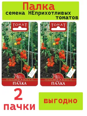 Томат Палка (Stick Tomato, Curl Tomato, Кудряволистный помидор)США, 5семян  | Дачная Коллекция