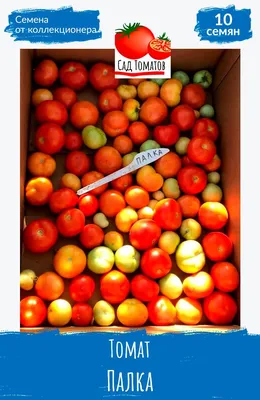 томат палка колоновидный | Выращивание томатов, Компост, Мульча