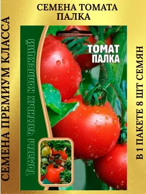 Семена томат Палка Биотехника 179658178 купить в интернет-магазине  Wildberries