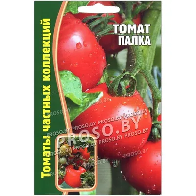 Редкие Семена томатов ПАЛКА - 1 пакет