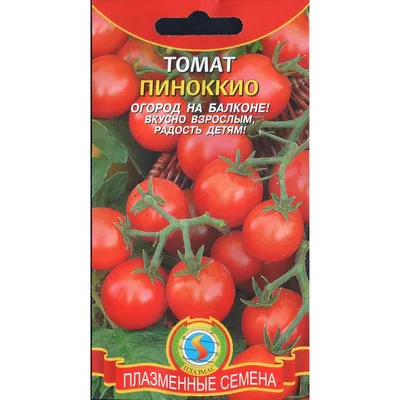 Балконные помидоры Пиноккио – урожайное «украшение» интерьера | ВКонтакте