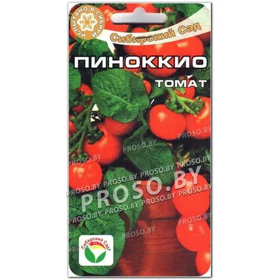 Семена Томат \"Пиноккио\", 20 шт (7552076) - Купить по цене от 13.60 руб. |  Интернет магазин SIMA-LAND.RU