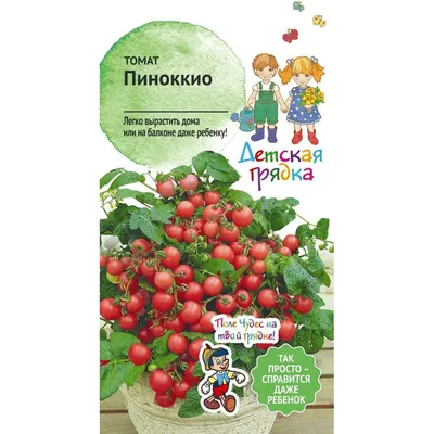 Без пестицидов, ГМО и колорадского жука. Как выращивать томаты на  подоконнике круглый год? | ВКонтакте