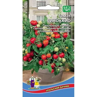 Купить семена Томат ПИНОККИО среднеспелый (10 шт) в магазине ГринПрофи  Тольятти
