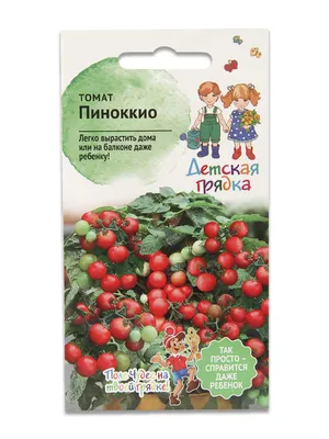 Семена Агрони Томат ПИНОККИО 7071 - выгодная цена, отзывы, характеристики,  фото - купить в Москве и РФ