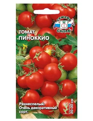 Семена томат СеДеК Пиноккио 14288 1 уп. - отзывы покупателей на Мегамаркет