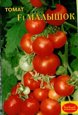 Семена томата Микадо розовый, 50 г: купить оптом, цена 140 ₴/упаковка - 7  Соток