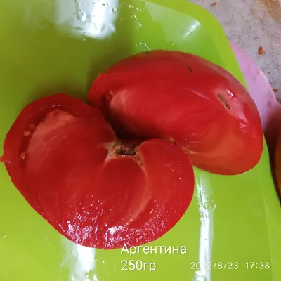 Оптовая продажа томатов в России