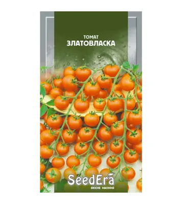 Семена томатов Спрут СеДек 100738052 купить в интернет-магазине Wildberries