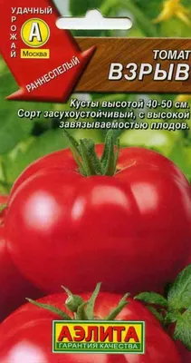Гигантское итальянское томатное дерево семена - Цена: €2.85