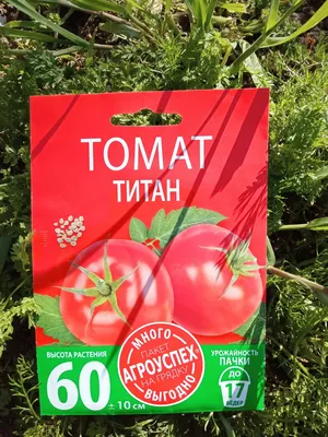 Семена Томат \"Титан розовый\", 0,2 г (7122825) - Купить по цене от 11.90  руб. | Интернет магазин SIMA-LAND.RU