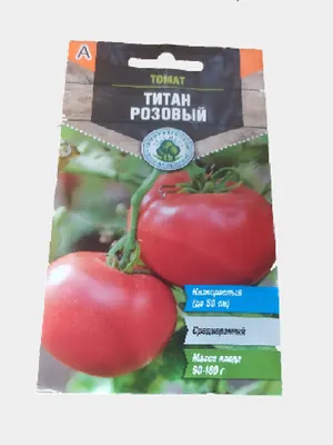 Готовимся к новому огородному сезону. Сортовые томаты. Титан | Этапы  большого пути | Дзен