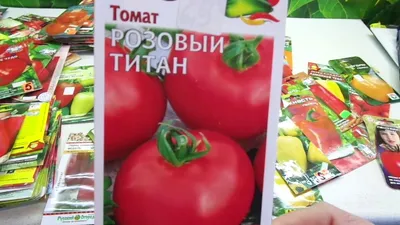 Томат Дино F1 купить в Минске, цена в интернет магазине