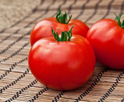 Томат Лентяйка: характеристика и описание сорта | Огородничество, Растения,  Выращивание томатов