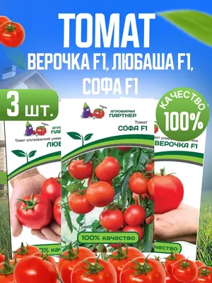 Купить семена Томат Верочка F1 в Минске и почтой по Беларуси