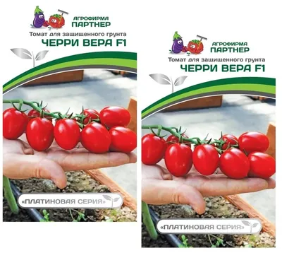 Томат Верочка (семена Партнер) купить по цене 209 ₽ в интернет-магазине  KazanExpress