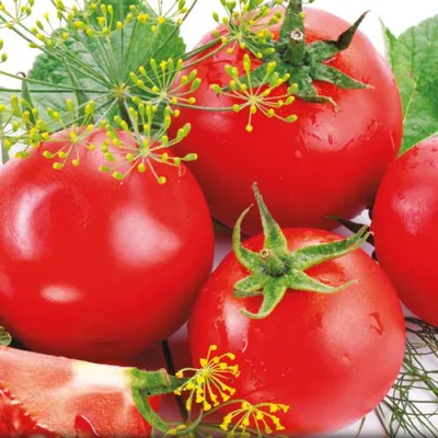 Семена томатов (помидор) Загадка купить в Украине | Веснодар