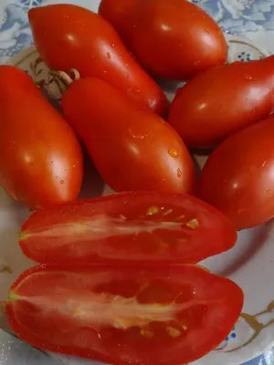 Крупноплодные томаты коллекции Д.Гусева и др.частных коллекций - mydobro  seeds