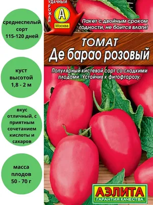 🍅К чему снятся помидоры? | Snitsya.com - к чему снится сон? | Дзен