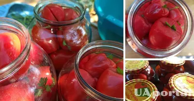 Богатый урожай будет гарантирован: что нужно сделать с цветками помидора -  16.05.2023 | Rnews.ru