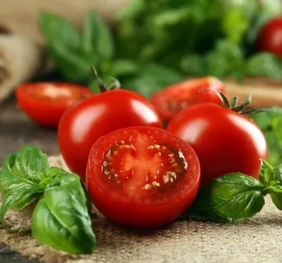 Tomato \"women's share F1\" or Timento - YouTube