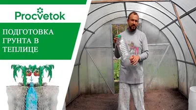 6 необычных способов выращивания томатов от наших читателей | На грядке  (Огород.ru)