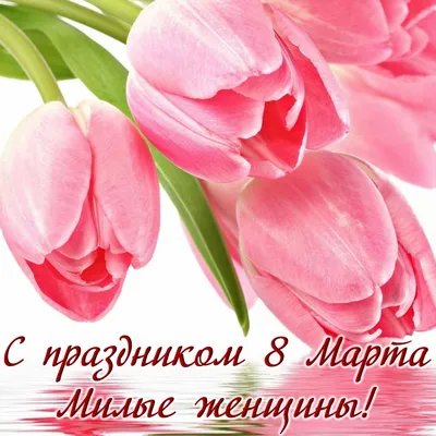 Поздравление с 8 Марта! - Донбасская национальная академия строительства и  архитектуры