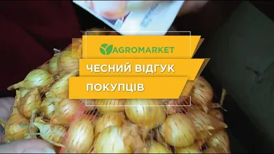 Луко-чеснок \"Рокамболь\", воздушные луковички (бульбочки) 10шт купить почтой  в Одессе, Киеве, Украине | Agro-Market
