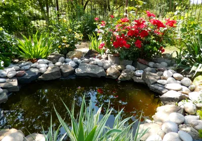 Как сделать естественный водоем в саду – проектируем садовый пруд своими  руками