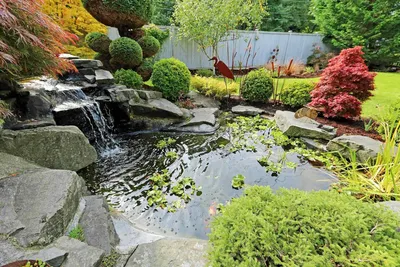 Пруд в саду: красиво и полезно - Блог о Ландшафтном Дизайне