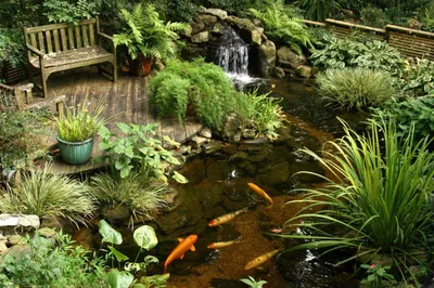 Декоративный пруд в саду | Ландшафтный дизайн | Дзен
