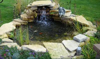 Садовый пруд, в котором можно купаться в разделе Участок на официальном  сайте «Переделка ТВ»