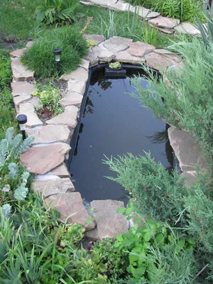 Декоративный пруд в саду (57 фото) - 57 фото