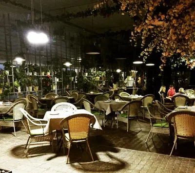 Ресторан зимний сад хабаровск фото фотографии